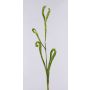 Rama de sauce dragón artificial ADELFOS, verde, 115cm