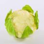 Coliflor de plástico SINEO, blanco-verde, 10,5cm, Ø18cm