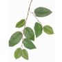 Rama de manzano artificial KONSTANTIN, verde, 75cm