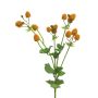 Rama decorativa de alchemilla LANHAN con flores, naranja, 45cm