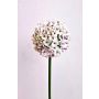 Allium artificial LOKJAN, blanco-violeta, 70 cm