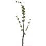 Rama artificial de hamamelis DEYONG con flores, verde crema, 90cm
