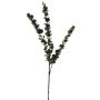 Rama artificial de eucalipto XIJIAN, verde, 75cm