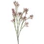 Gypsophila decorativa LINFENG, rosa, 70cm