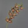 Rama decorativa de orquídea cymbidium YAMEI, rojo-verde oscuro, 80cm