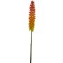 Kniphofia artificial QIUMIN, naranja, 85cm