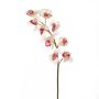 Rama orquídea Cymbidium plástico OKSANA, blanco-fucsia, 80cm, Ø6,5cm