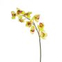 Rama orquídea Cymbidium plástico OKSANA, amarillo-verde, 80cm, Ø6,5cm
