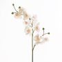 Rama de orquídea Phalaenopsis falsa STINA, blanco, 90cm, Ø7-9cm