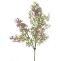 Rama decorativa de gypsophila LANMO, púrpura, 50cm
