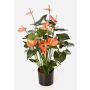 Flor Anthurium artificial LEVANA, rosa, 80cm, 8x10cm