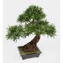 Bonsái Podocarpus sintético MASAO, raíz, fuente cerámica, verde, 85cm