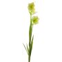 Campanula artificial WENXIN, verde-crema, 80cm