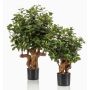 Ficus Retusa artificial CUMBIA, tronco natural, en maceta de cerámica, verde, 70cm
