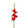 Gladio artificial KIVANA, rojo, 90 cm