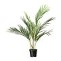 Palmera decorativa Areca YONNE, 70 cm