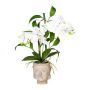 Arreglo floral artificial orquídea bambú MARAKI en maceta de cemento Buda, raíces, blanco, 60 cm