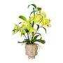Arreglo floral artificial orquídea bambú MARAKI en maceta de cemento Buda, raíces, verde claro, 60 cm