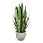 Suculenta decorativa Sansevieria SNARLY en maceta de melamina, verde, 80 cm