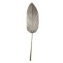 Hoja decorativa de palmera Washingtonia DAIANE, seca, color champán, 100 cm