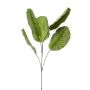Rama artificial Calathea orbifolia KLINTO, verde grisáceo, 115 cm