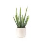 Cactus artificial Euphorbia trigona NORSHE en maceta decorativa, verde, 28 cm