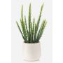 Cactus artificial Euphorbia trigona NORSHE en maceta decorativa, verde, 28 cm