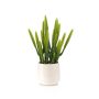 Cactus artificial Euphorbia trigona NORSHO en maceta decorativa, verde, 28 cm