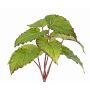 Begonia artificial KATRICE en varilla, difícilmente inflamable, verde, 25 cm