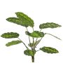 Planta artificial Calathea roseopicta WENFYN, varilla, verde, 55 cm