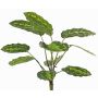 Planta artificial Calathea roseopicta WENFYN, varilla, verde, 55cm