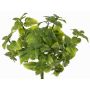 Menta decorativa WONFYN, varilla, verde, 20cm