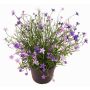 Flor decorativa impatiens GISINDA en maceta decorativa, lila, 25cm