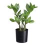 Planta artificial Zamioculcas KROHIN, 30 cm