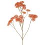 Rama decorativa de milenrama ORTEGA, naranja, 70 cm, Ø 4 cm