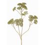 Rama decorativa de milenrama ORTEGA, verde, 75cm, Ø7-13cm
