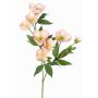 Rama artificial de rosa de Navidad ANYALA, rosa-blanco, 60cm, Ø5-6cm