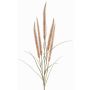 Rama decorativa de plumas AREVALO con panículas, beige, 135cm