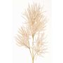 Rama decorativa de coral BILBAS, crema, 70cm