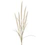 Rama decorativa de plumas AREVALO con panículas, color crema, 135 cm