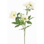 Rama artificial de rosa de Navidad ANYALA, crema-blanco, 60cm, Ø5-6cm