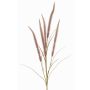 Rama decorativa de hierba pluma AREVALO con panículas, malva, 135cm