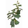 Rama de hiedra artificial TOYAH con frutos, verde, 65cm