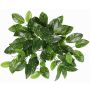Hoya carnosa artificial QWARA en varilla, verde-blanca, 35cm