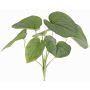 Planta artificial Funkie RAIATEA en varilla, verde, 65cm