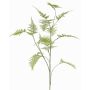 Rama decorativa Asparagus plumosus UHERA, verde, 140cm
