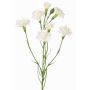 Rama de clavel artificial PIARA, blanco, 60cm, Ø3-5cm