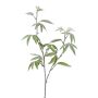 Rama decorativa aralia DREVAL, helada, blanca y verde, 65 cm
