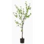 Árbol artificial capuchina TUFFY, tronco artificial, verde, 150 cm