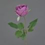 Flor artificial rosa POPI, violeta-verde, 55 cm, Ø 7 cm